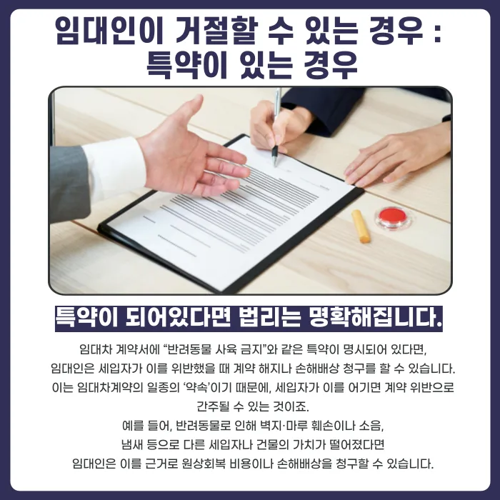 세입자가 반려동물을 키운다고 하면 임대인은 거절할 수 있을까? 특약 유무별 정리 카드뉴스 2