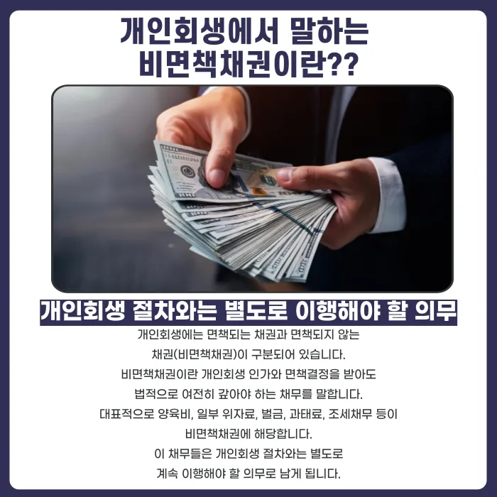 개인회생 해도 안 없어지는 채무: 양육비·위자료·벌금 비면책채권 정리 카드뉴스 2