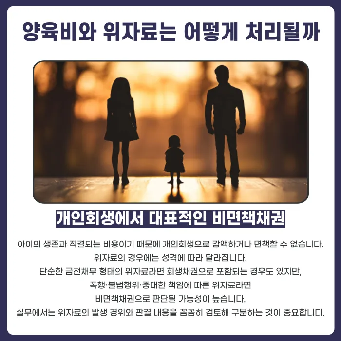 개인회생 해도 안 없어지는 채무: 양육비·위자료·벌금 비면책채권 정리 카드뉴스 3