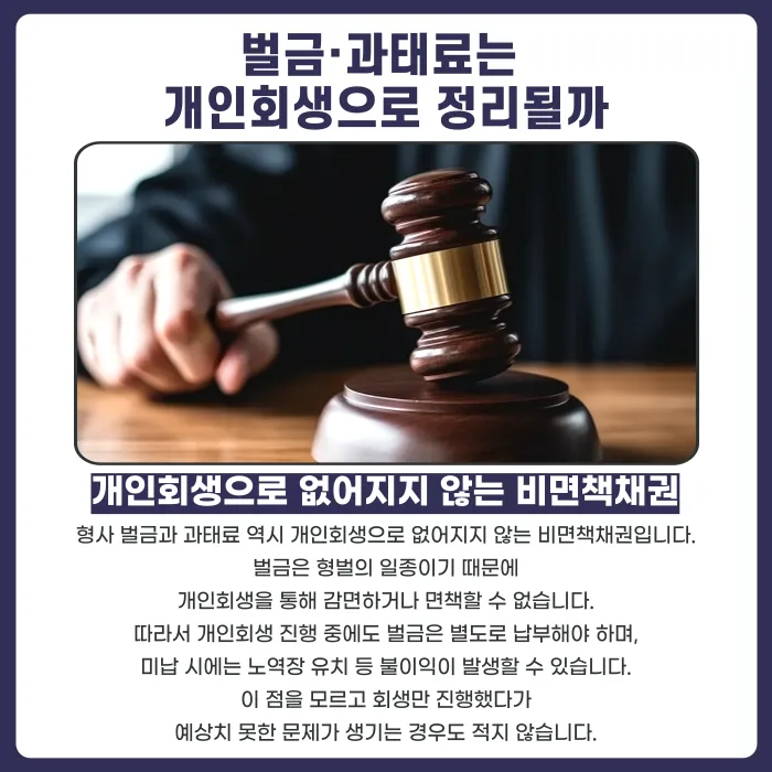 개인회생 해도 안 없어지는 채무: 양육비·위자료·벌금 비면책채권 정리 카드뉴스 4