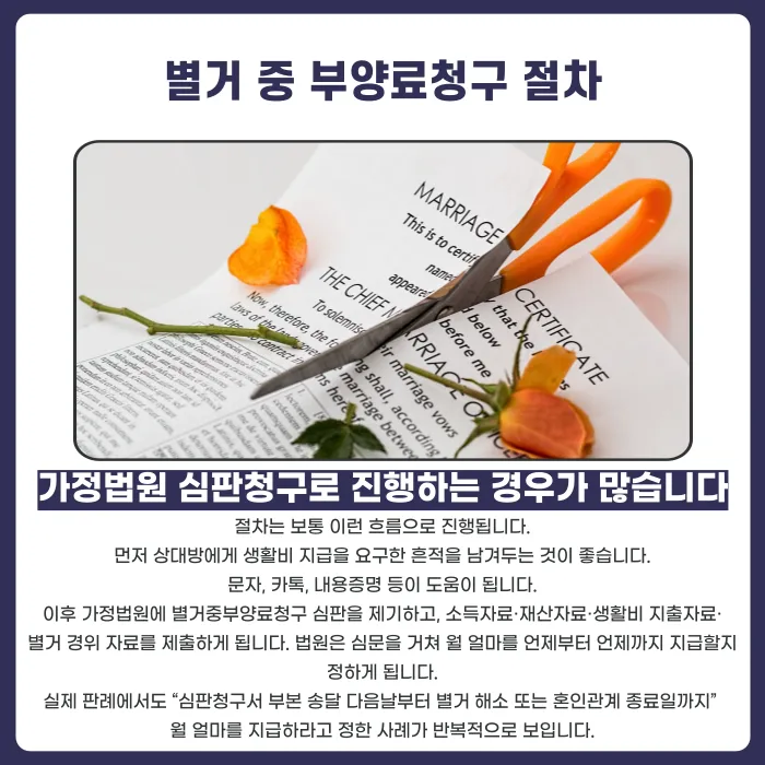 별거 중 부양료청구, 요건·금액·절차 총정리 카드뉴스 4