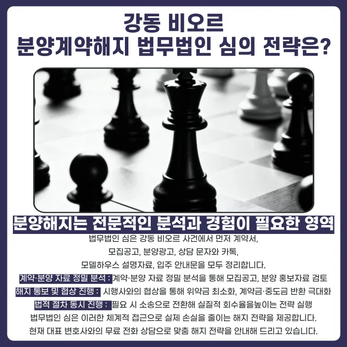 강동 비오르 분양계약해지, 잔금 부담과 임의공급 반복이 미치는 영향 카드뉴스 5